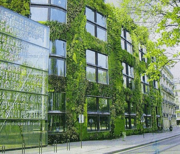 吹响“垂直绿化”集结号 打造城市绿色外衣