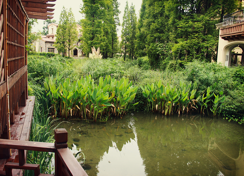 香颂湖，舒适家园的完美缔造