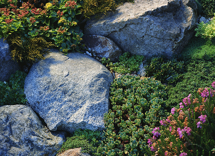 岩石花园的独特美——别墅花园的另一种表达方式
