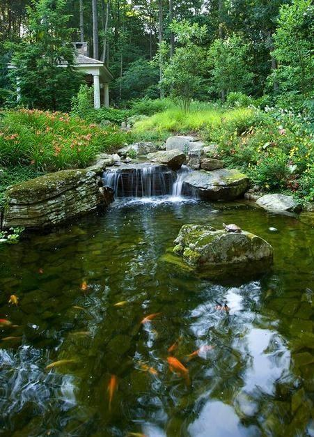 别墅花园设计这11个“庭院鱼池”你喜欢哪一个