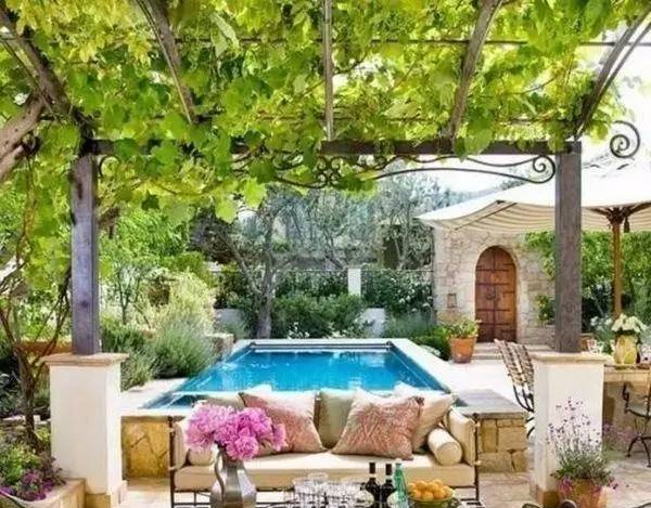 庭院花园设计葡萄架该怎么设计搭建