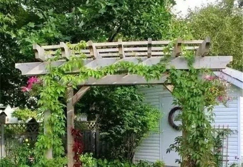 私家花园庭院设计如何设计搭建花园花架