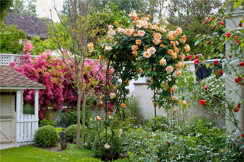 私家花园庭院设计如何设计搭建花园花架