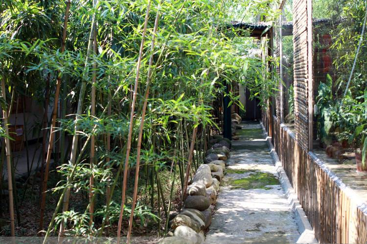私家花园庭院设计中竹子该种在哪里怎么选品种