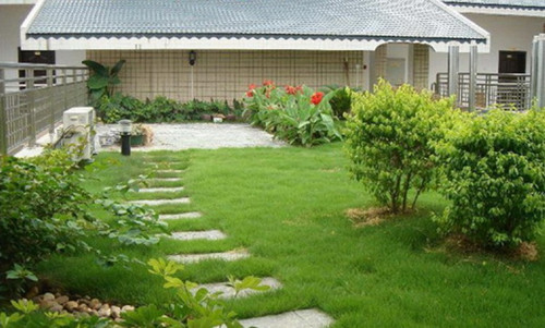 屋顶花园设计怎么选择草坪品种