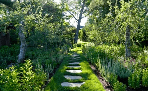 花园汀步设计技巧与施工要点有哪些？