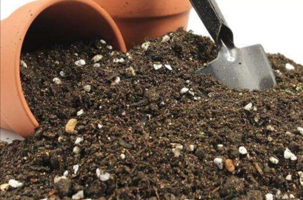 花园如何调配出肥沃的营养土（附方法和技巧）